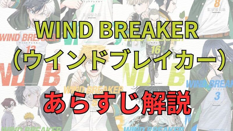 【ネタバレ注意】漫画「WIND BREAKER（ウインドブレイカー）」のあらすじ解説！登場人物も一覧でまとめてみました。 